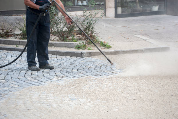 Animal Enclosure Cleaning in Maine, WI